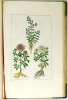 1.	 Buchoz, Pierre-Joseph: : Herbier ou collection des plantes medicinales de la Chine
