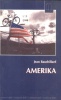 Baudrillard, Jean : Amerika