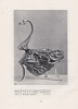Bruckmann, H. : Dekorative Kunst - Eine Illustrierte Zeitschrift für Angeandte Kunst. Band VII-VIII. 1901.
