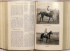 Bloodstock Breeders’ Review, The. An Illustrated Annual devoted to the British Thoroughbred. Vol. XVIII.