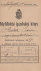 Népfölkelési igazolványi könyv [Katona könyv]. 1895. Budapest,