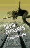 Grossman, David : A villámkölyök