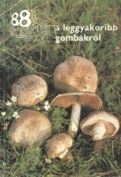 Rimóczi Imre : 88 színes oldal a leggyakoribb gombákról
