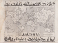 Heck, G. : Weltkarte - Wanderungen Der hauptsächlichsten Gattungen der Fische Und Vögel