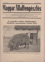 Magyar Állattenyésztés. 1947. március 15.; VII. évf. 6. sz. - A mangalica értékes tulajdonságait fajtatiszta tenyésztéssel tartsuk fenn!