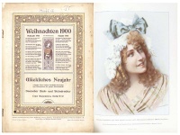 Deutsche Buch- und Steindrucker 1900. Siebenter Jahrgang. Heft 2/3.