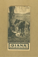 Diana Sósborszesz - propaganda-számolócédula