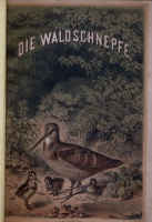 Hoffmann, Julius : Die Waldschnepfe - Ein monographischer Beitrag zur Jagdzoologie.