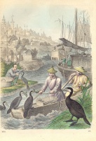132.     Unknown engraver : (Cormorant Fishing.)