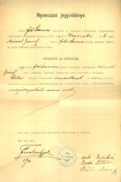 Nyomozási jegyzőkönyv (...) védköteles hollétének kipuhatolása iránt... - Faluszemes [Balatonszemes], 1895. 