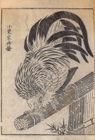 Unidentified artist (Based on an Oguri Sotan painting) : (Cock.)